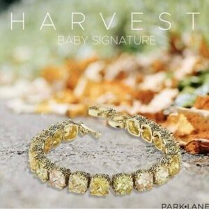 Park Lane Baby Signature Harvest Bracelet! Absolutely Stunning!!